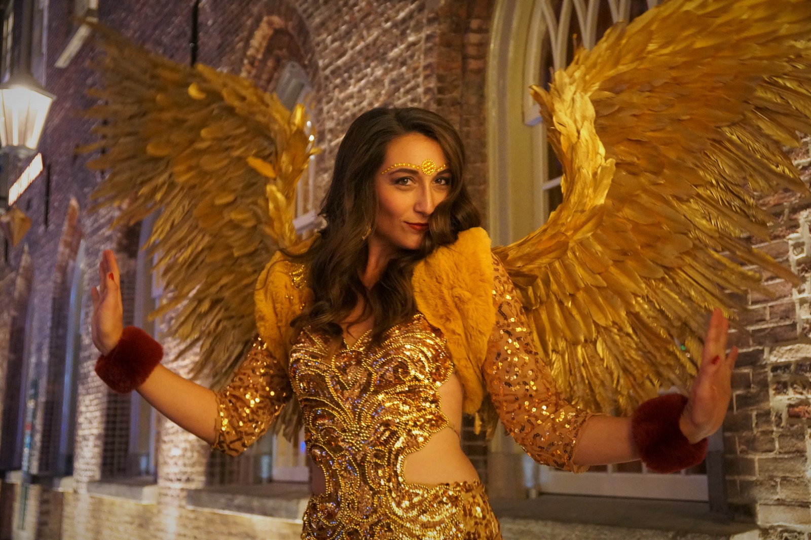 Gold Angel Costume
 Costume