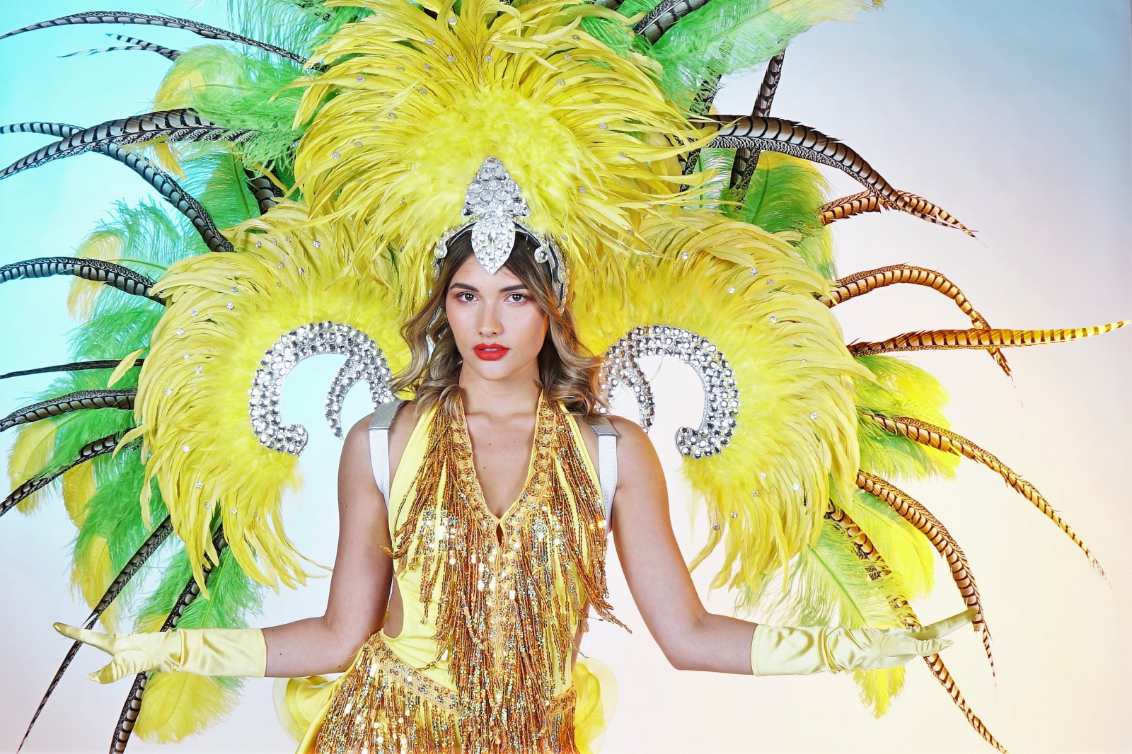 Costume Feather Samba Entertainment Heroes