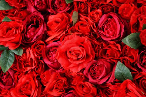 flowerwall, bloemenwand, rozenwand, rose wall, wall of roses, event wall, backdrop, flower bakcdrop, floral backdrop, instagram, instagram backdrop, instagramable, instagood, bloemen, rood, rode rozen, rozen, liefde, valentijn, vaderdag, moederdag, love, 